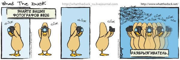 What The Duck Comic Strips. Фотограф в Москве. Екатерина Митина