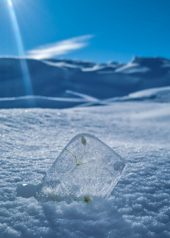 Интенсив «ТВОРИ ПУТЕШЕСТВИЯ 2.0». Фотограф Светлана Анисимова обучение фото видео рилс