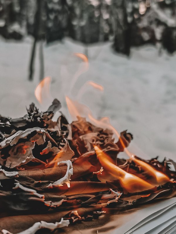 Интенсив «ТВОРИ ПУТЕШЕСТВИЯ 2.0». Фотограф Светлана Анисимова обучение фото видео рилс