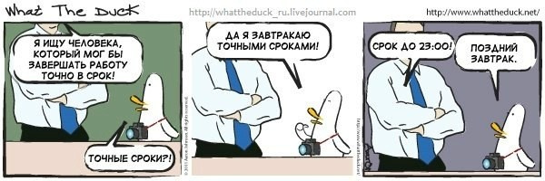 What The Duck Comic Strips. Фотограф в Москве. Екатерина Митина