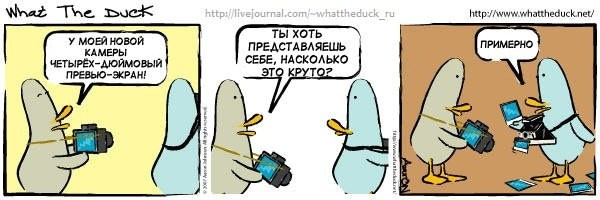 What The Duck Comic Strips. Фотограф в Москве. Екатерина Митина