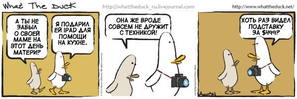 What The Duck Comic Strips. Фотограф в Москве. Екатерина Митина