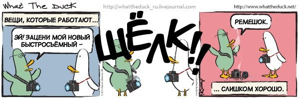 What The Duck Comic Strips. Фотограф в Москве. Екатерина Митина