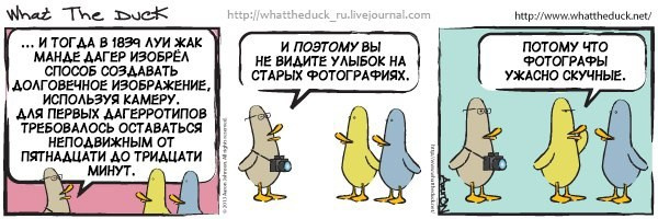 What The Duck Comic Strips. Фотограф в Москве. Екатерина Митина