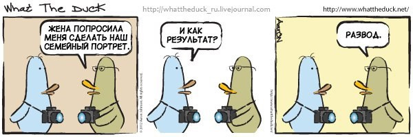 What The Duck Comic Strips. Фотограф в Москве. Екатерина Митина