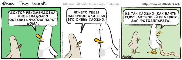 What The Duck Comic Strips. Фотограф в Москве. Екатерина Митина