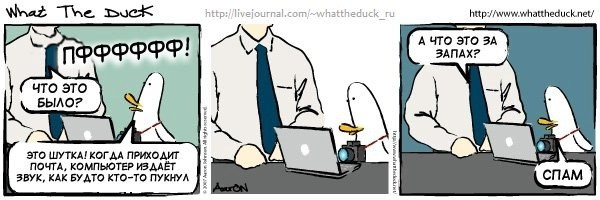 What The Duck Comic Strips. Фотограф в Москве. Екатерина Митина