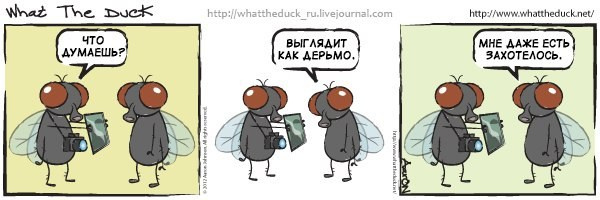 What The Duck Comic Strips. Фотограф в Москве. Екатерина Митина