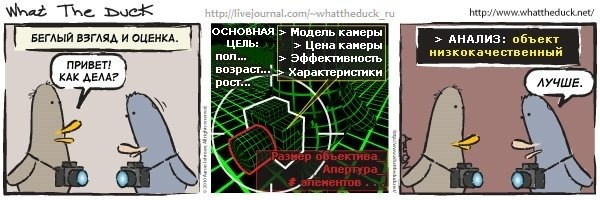 What The Duck Comic Strips. Фотограф в Москве. Екатерина Митина