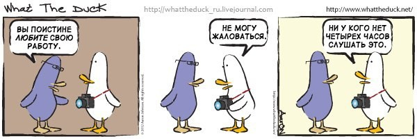 What The Duck Comic Strips. Фотограф в Москве. Екатерина Митина
