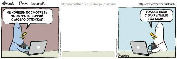 What The Duck Comic Strips. Фотограф в Москве. Екатерина Митина