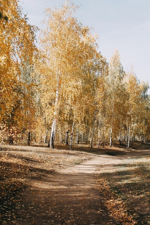 Моя вторая золотая осень