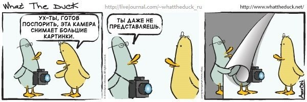 What The Duck Comic Strips. Фотограф в Москве. Екатерина Митина
