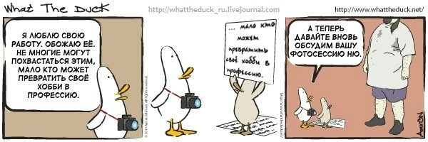 What The Duck Comic Strips. Фотограф в Москве. Екатерина Митина