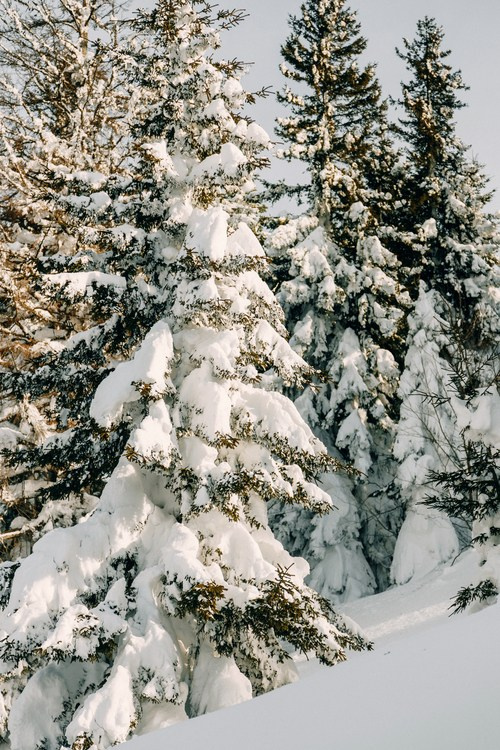Горнолыжный курорт Годердзи