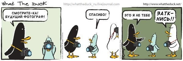 What The Duck Comic Strips. Фотограф в Москве. Екатерина Митина