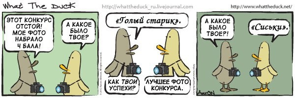 What The Duck Comic Strips. Фотограф в Москве. Екатерина Митина