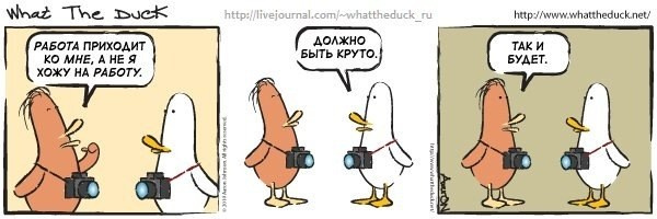 What The Duck Comic Strips. Фотограф в Москве. Екатерина Митина