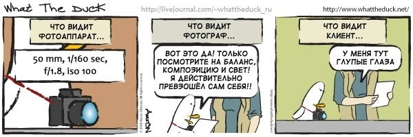 What The Duck Comic Strips. Фотограф в Москве. Екатерина Митина