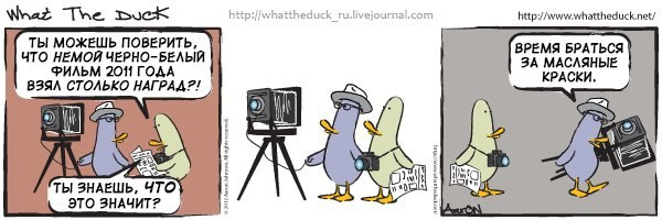 What The Duck Comic Strips. Фотограф в Москве. Екатерина Митина