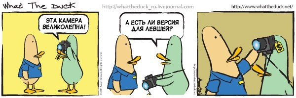 What The Duck Comic Strips. Фотограф в Москве. Екатерина Митина