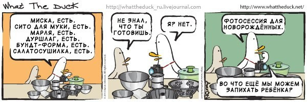 What The Duck Comic Strips. Фотограф в Москве. Екатерина Митина