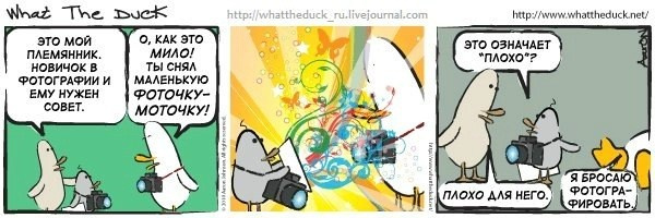 What The Duck Comic Strips. Фотограф в Москве. Екатерина Митина