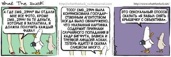 What The Duck Comic Strips. Фотограф в Москве. Екатерина Митина