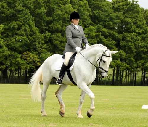 Founder. Liana Antanovich | Equestrian Strategies