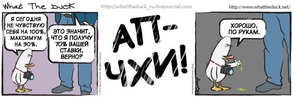 What The Duck Comic Strips. Фотограф в Москве. Екатерина Митина