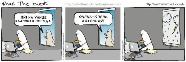 What The Duck Comic Strips. Фотограф в Москве. Екатерина Митина