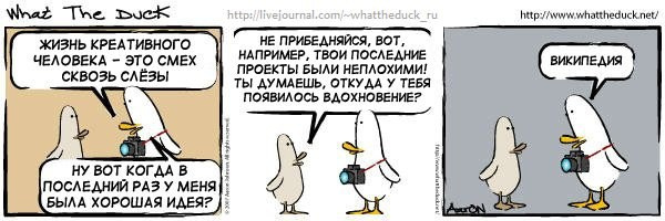 What The Duck Comic Strips. Фотограф в Москве. Екатерина Митина
