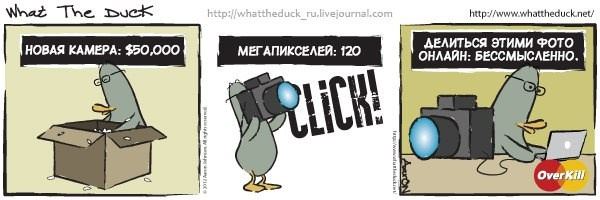 What The Duck Comic Strips. Фотограф в Москве. Екатерина Митина