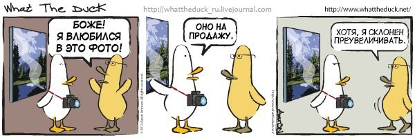 What The Duck Comic Strips. Фотограф в Москве. Екатерина Митина