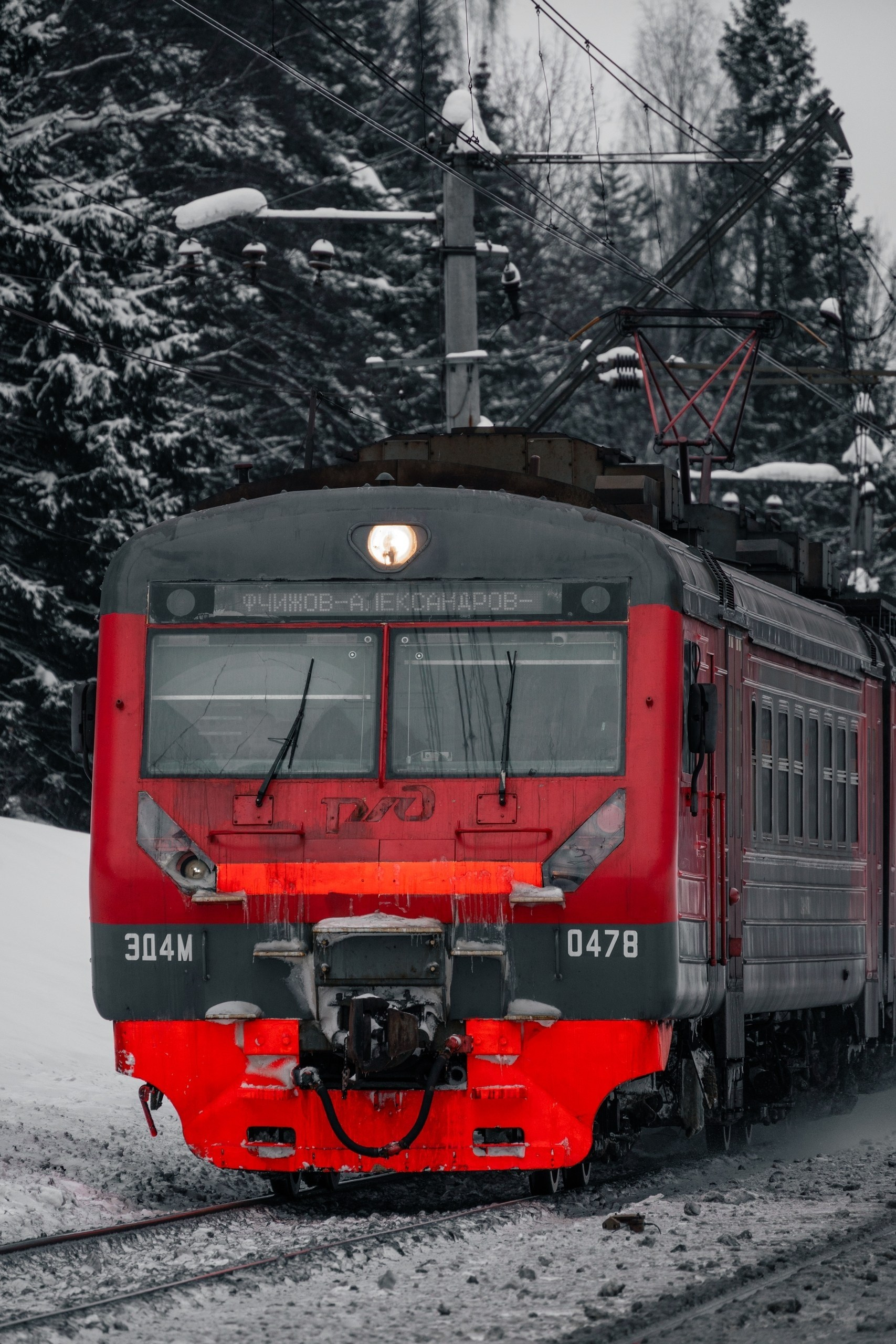 Timofey3011