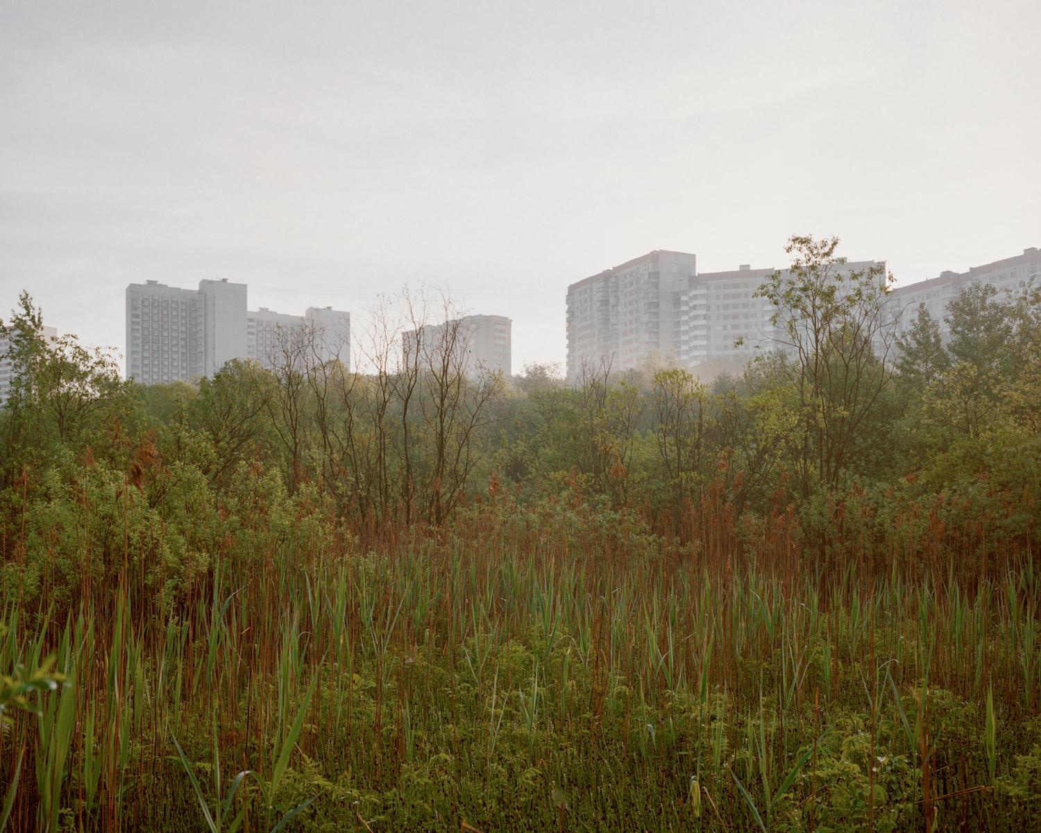 Arcadia. Anastasia Tsayder