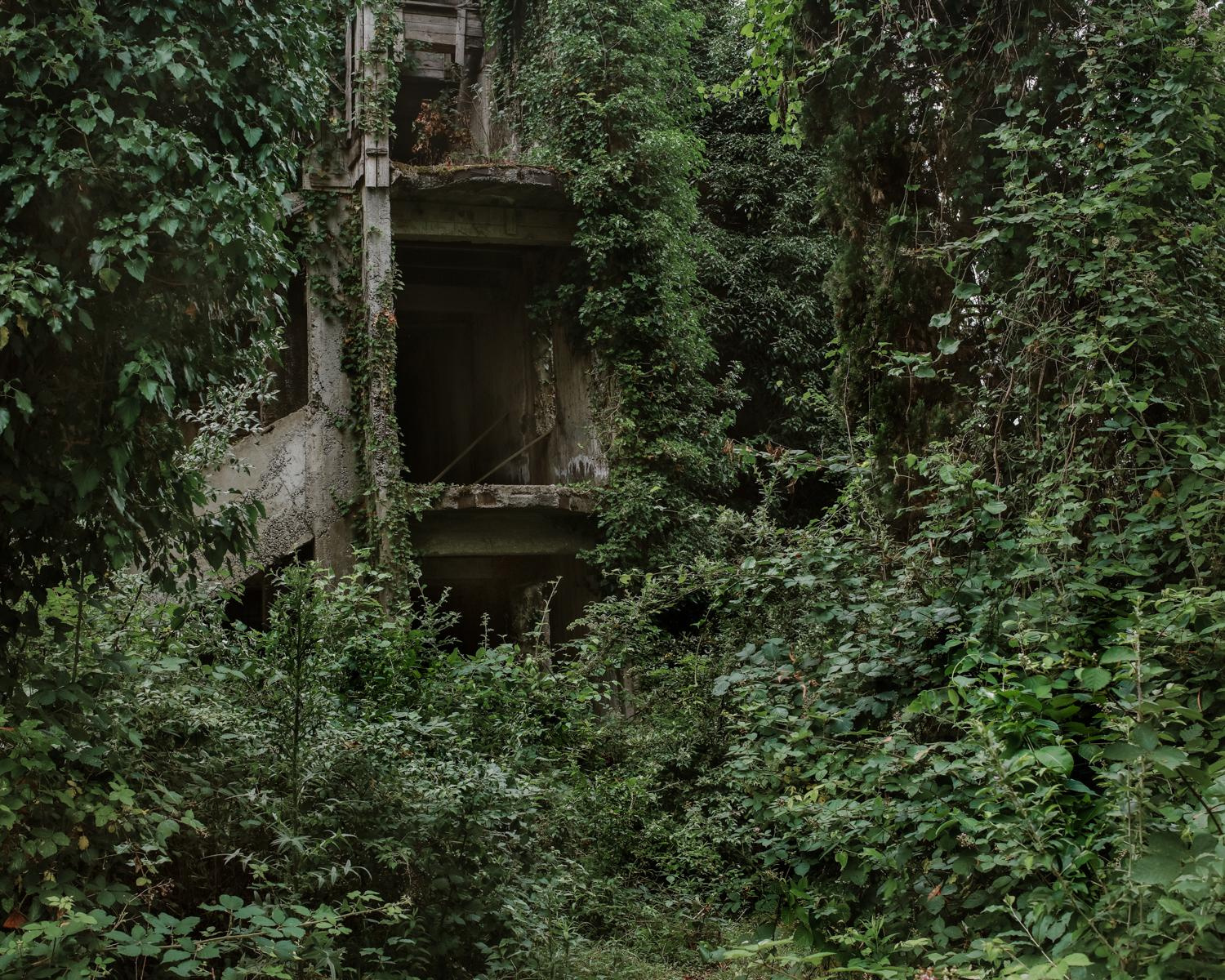 Arcadia. Anastasia Tsayder