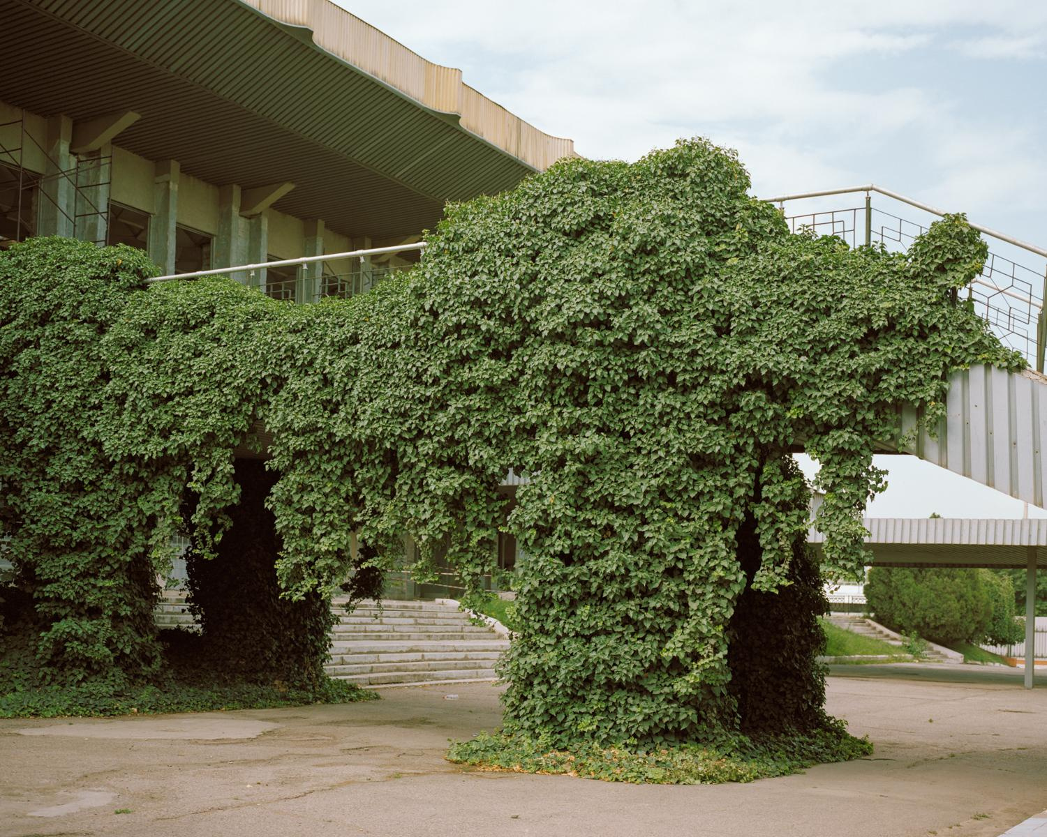 Arcadia. Anastasia Tsayder