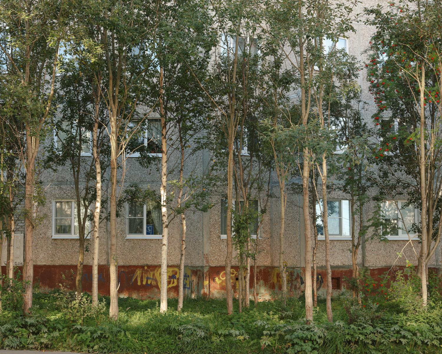 Arcadia. Anastasia Tsayder