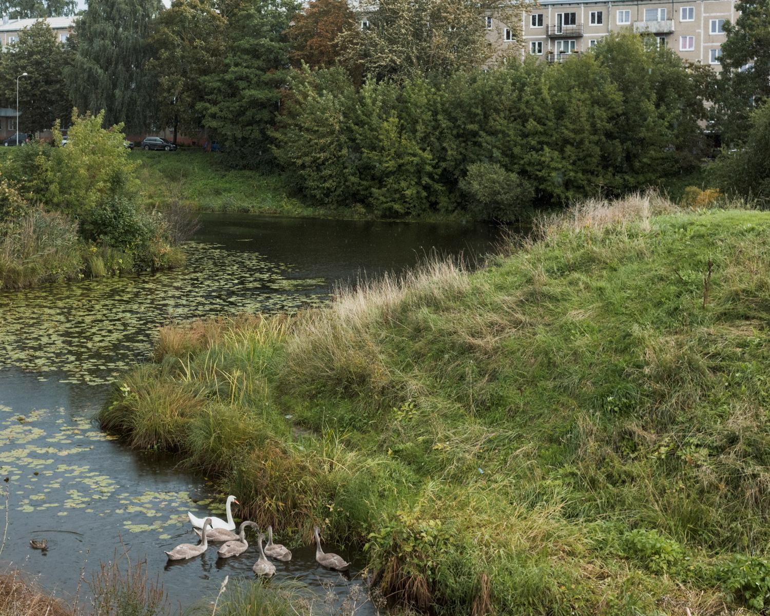 Arcadia. Anastasia Tsayder