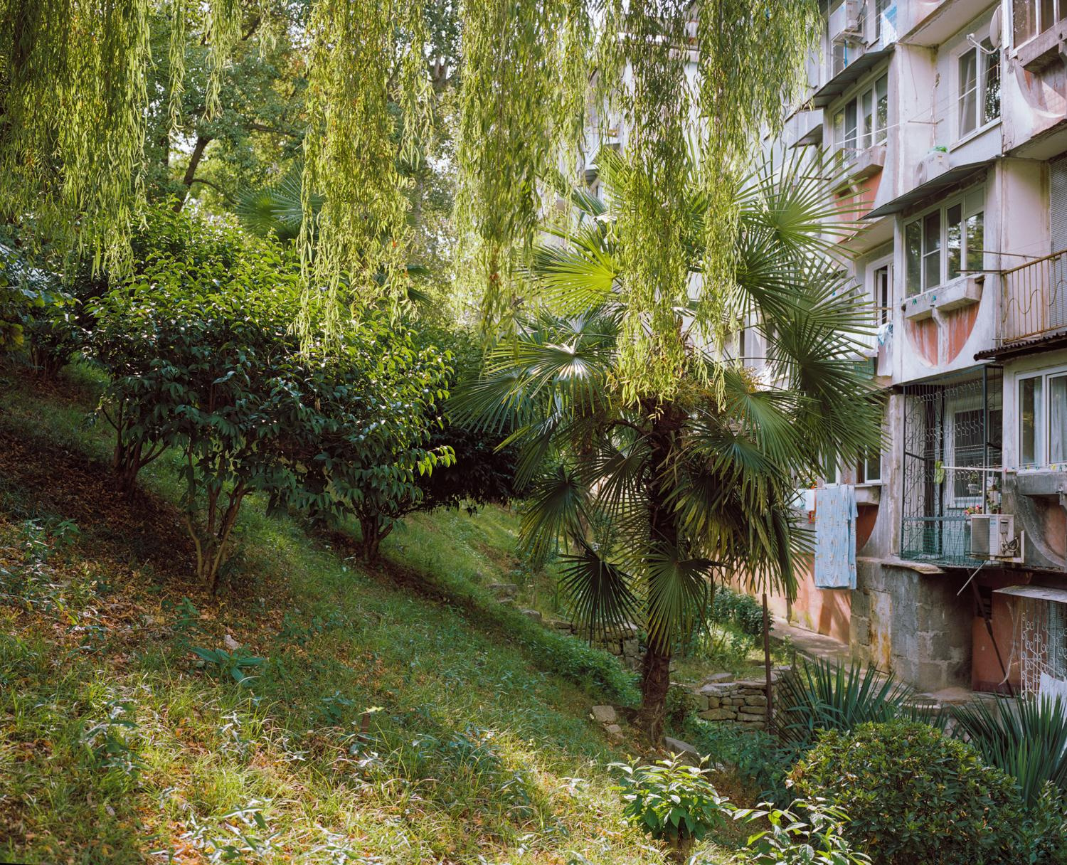 Arcadia. Anastasia Tsayder