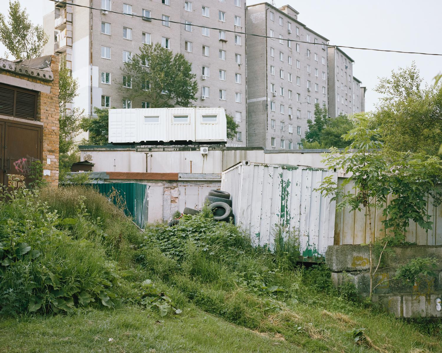 Arcadia. Anastasia Tsayder