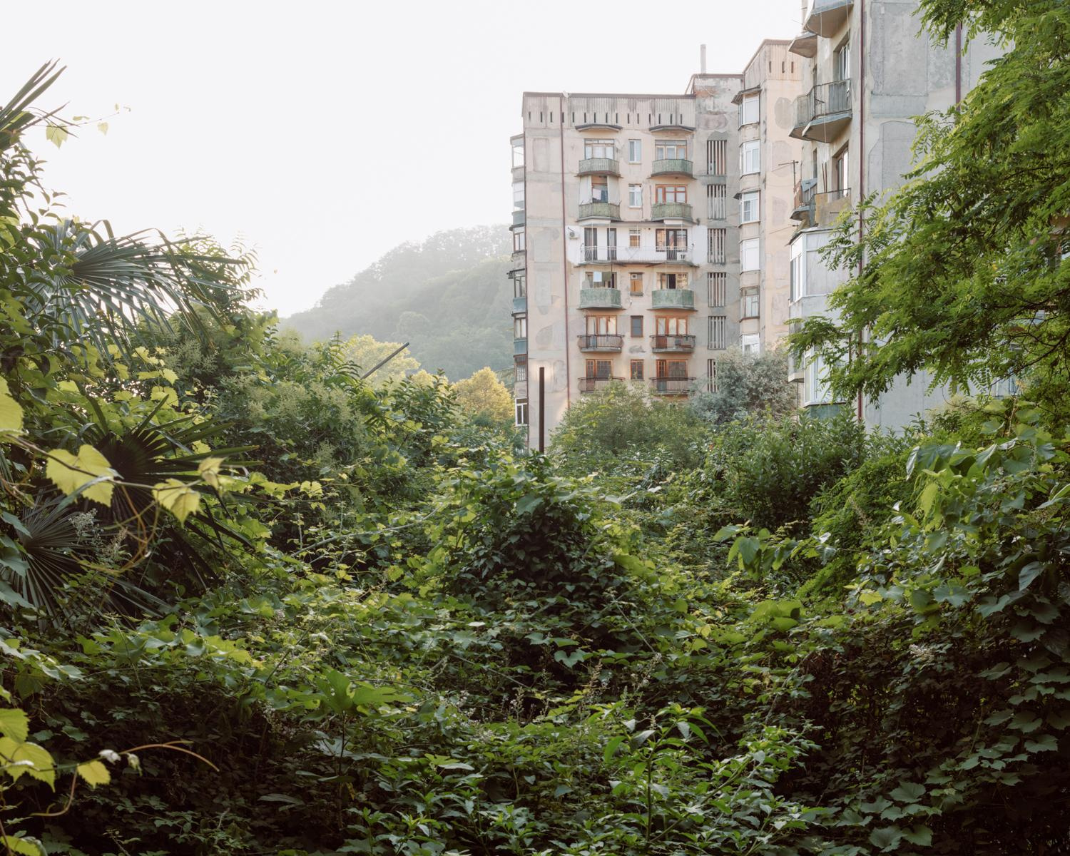 Arcadia. Anastasia Tsayder