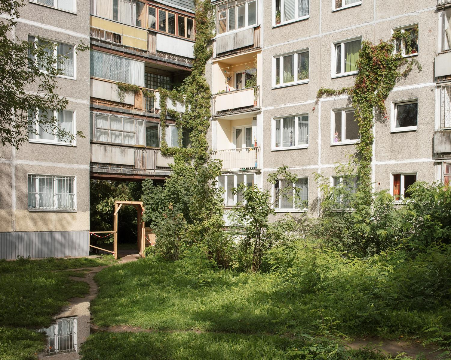 Arcadia. Anastasia Tsayder