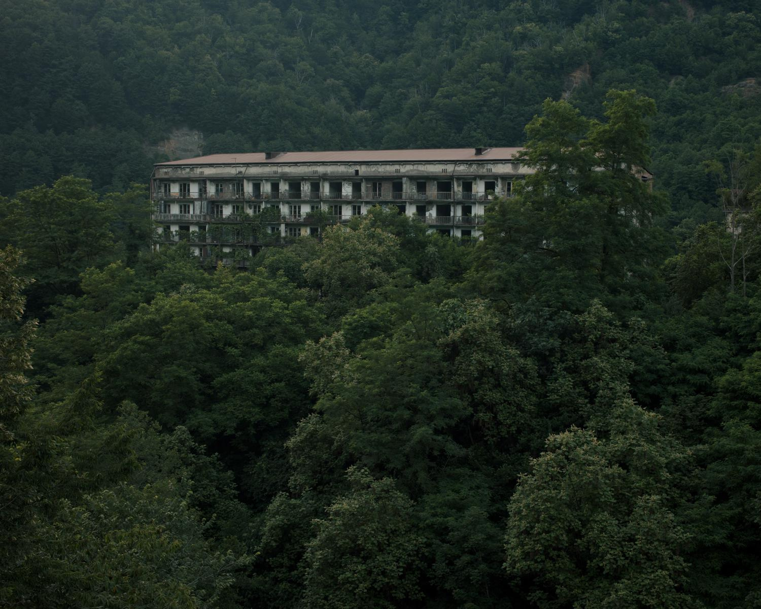 Arcadia. Anastasia Tsayder