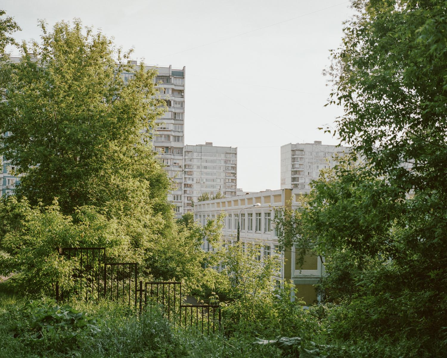 Arcadia. Anastasia Tsayder