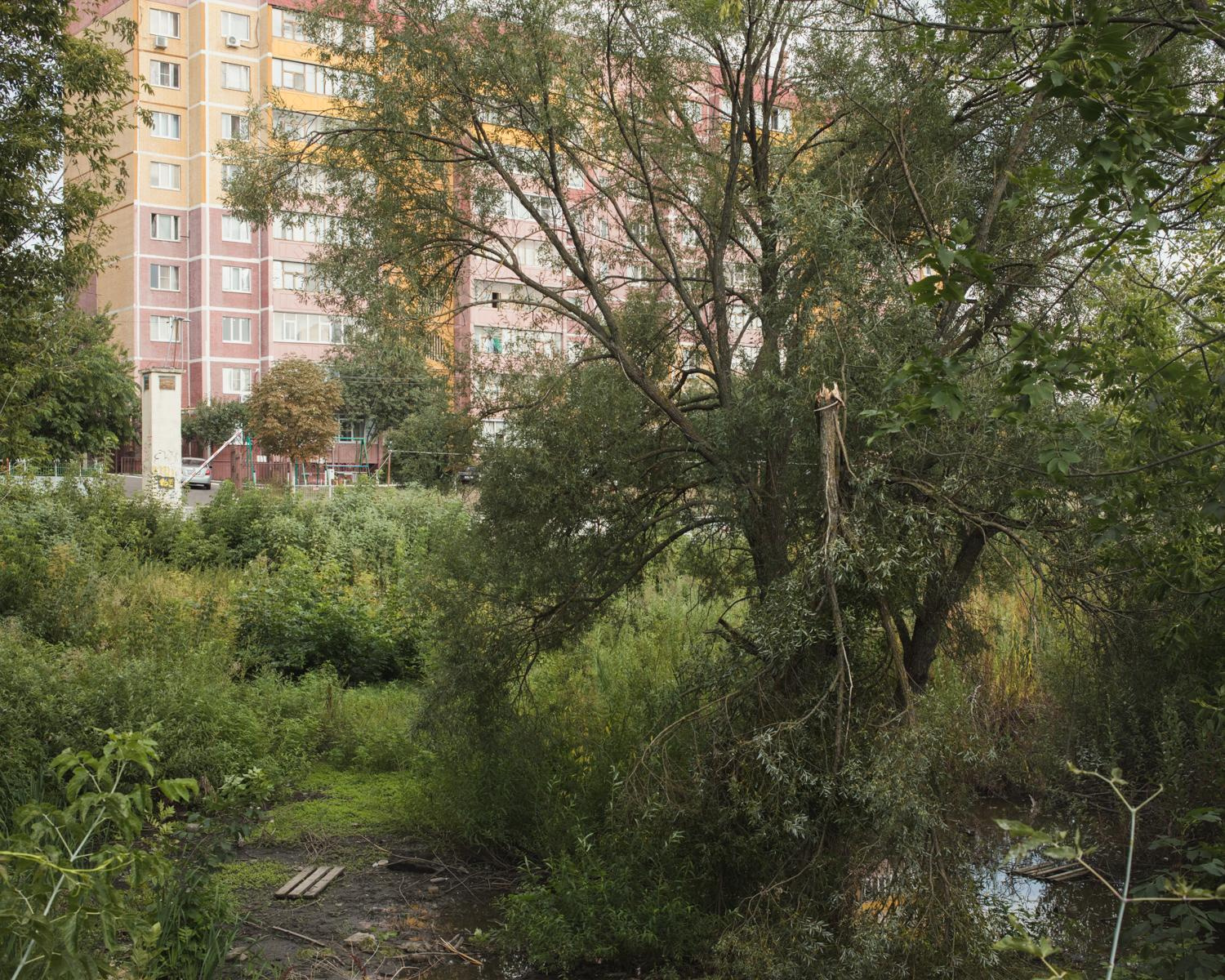 Arcadia. Anastasia Tsayder