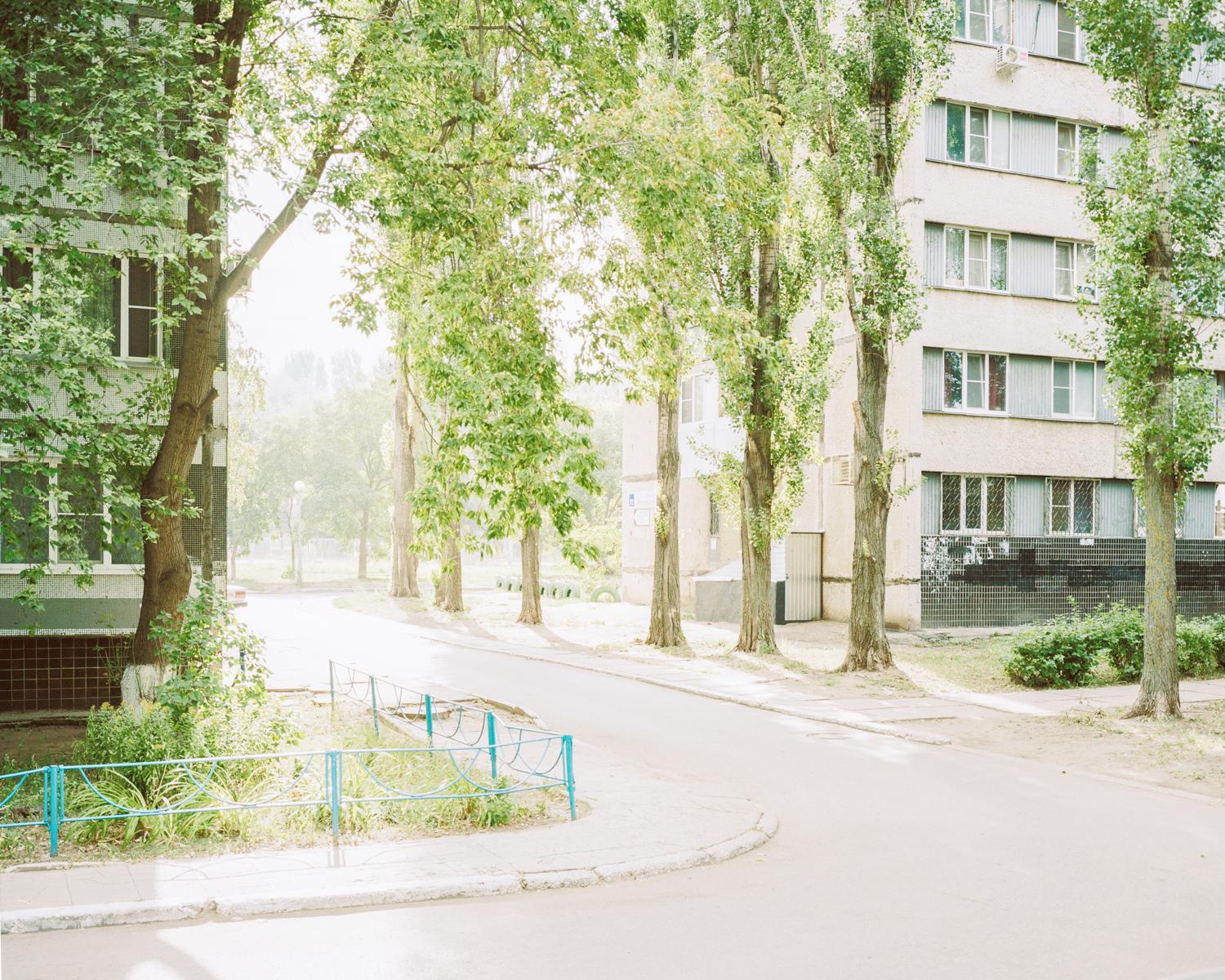 Arcadia. Anastasia Tsayder