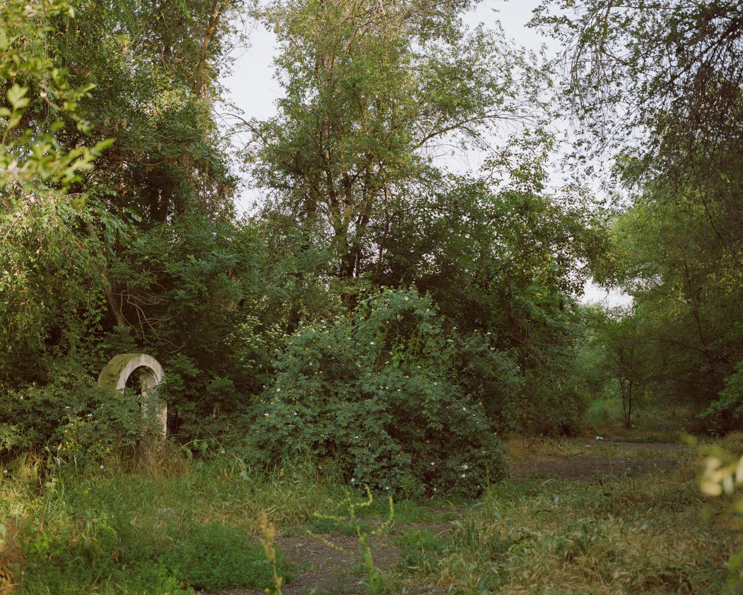 Arcadia. Anastasia Tsayder