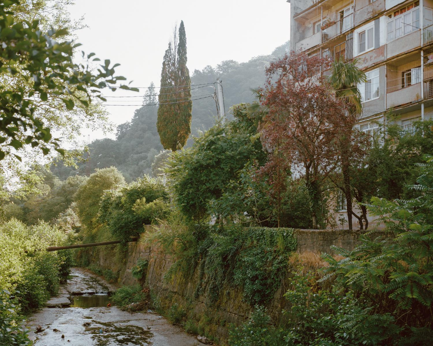 Arcadia. Anastasia Tsayder